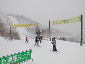 かぐらスキー場 - GARMIN(ガーミン) fenix 5X Plusをスキーで使用