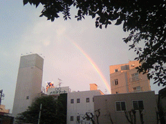 石神井公園駅のそばで見えた虹