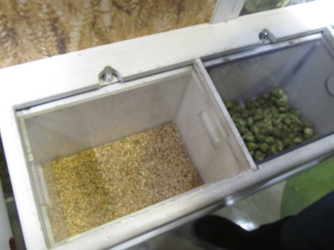 キリンビール工場見学: 原料の二条大麦とホップ