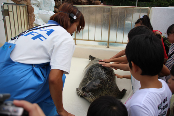 越前松島水族館: アザラシお食事タイム
