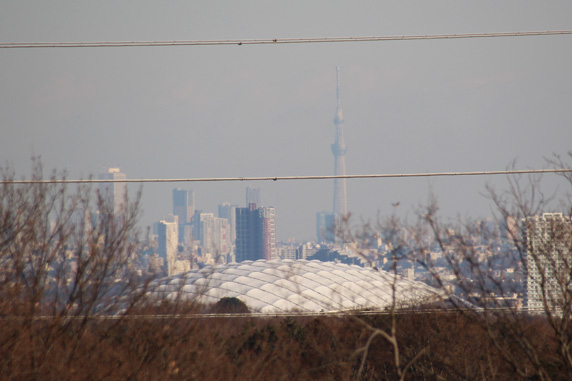 六道山の展望台から見る西武ドームと東京スカイツリー