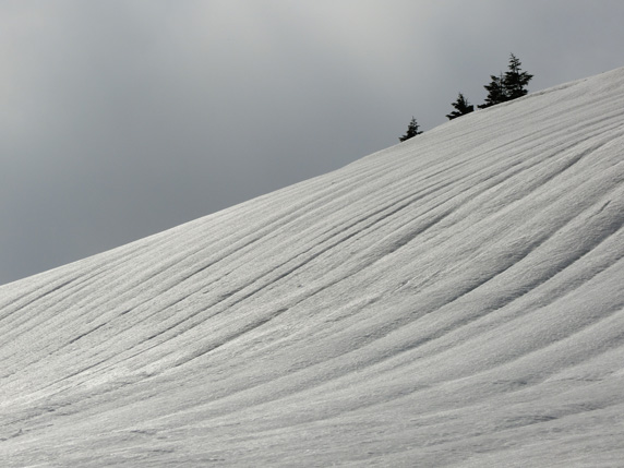 川場スキー場: 山頂付近の雪壁
