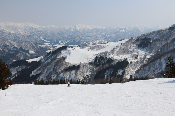 ガーラ湯沢: 南エリアのコース(イライザ)から湯沢高原スキー場を望む