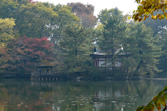 石神井公園三宝寺池越しに見る厳島神社