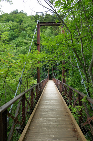 都民の森: 滝見橋