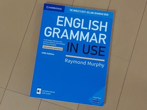 ENGLISH GRAMMAR IN USE (英語ノンネイティブ向け英文法書の定番)