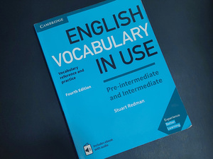 ENGLISH VOCABULARY IN USE - Pre-intermediate and Intermediate