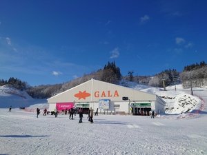 ガーラ湯沢スキー場(2024)