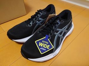 ASICS GEL-KAYANO 30 (ゲルカヤノ30) エクストラワイド