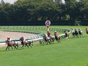 5年ぶりの中山競馬場