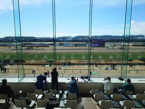 東京競馬場の指定席で初観戦